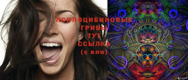 прущий лед Лиски
