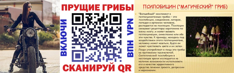 darknet телеграм  Челябинск  Псилоцибиновые грибы мухоморы 